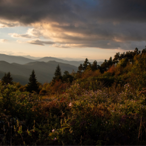 Evening at Ivestor Gap